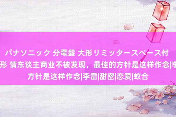 パナソニック 分電盤 大形リミッタースペース付 露出・半埋込両用形 情东谈主商业不被发现，最佳的方针是这样作念|李雷|甜密|恋爱|蚁合