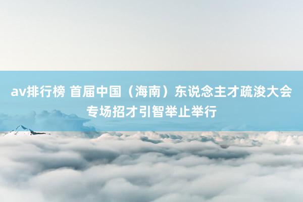 av排行榜 首届中国(海南)东说念主才疏浚大会专场招才引智举止举行